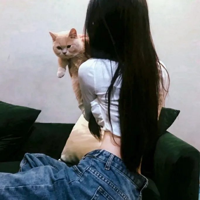 弄巧成拙